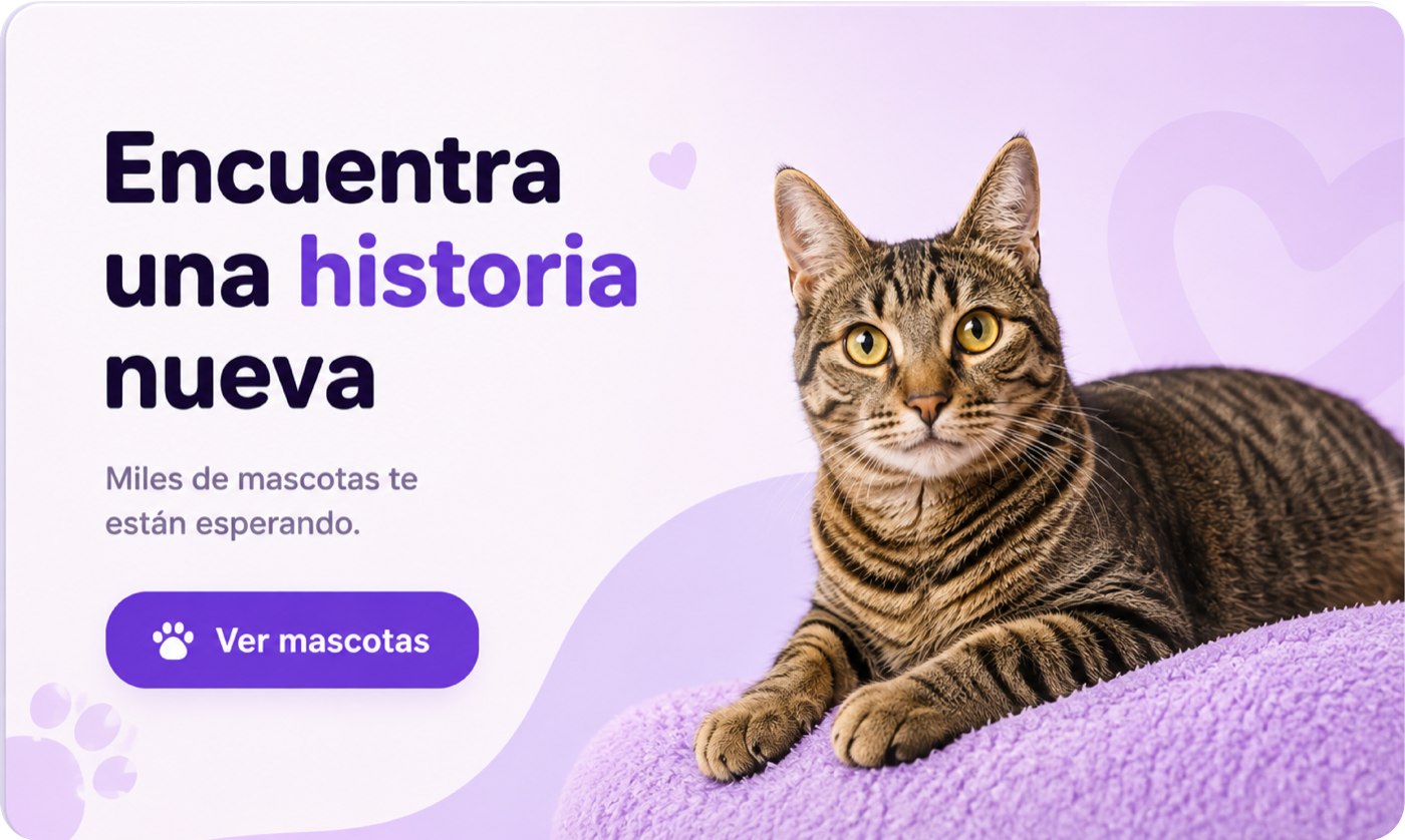 Adopción: encuentra una historia nueva