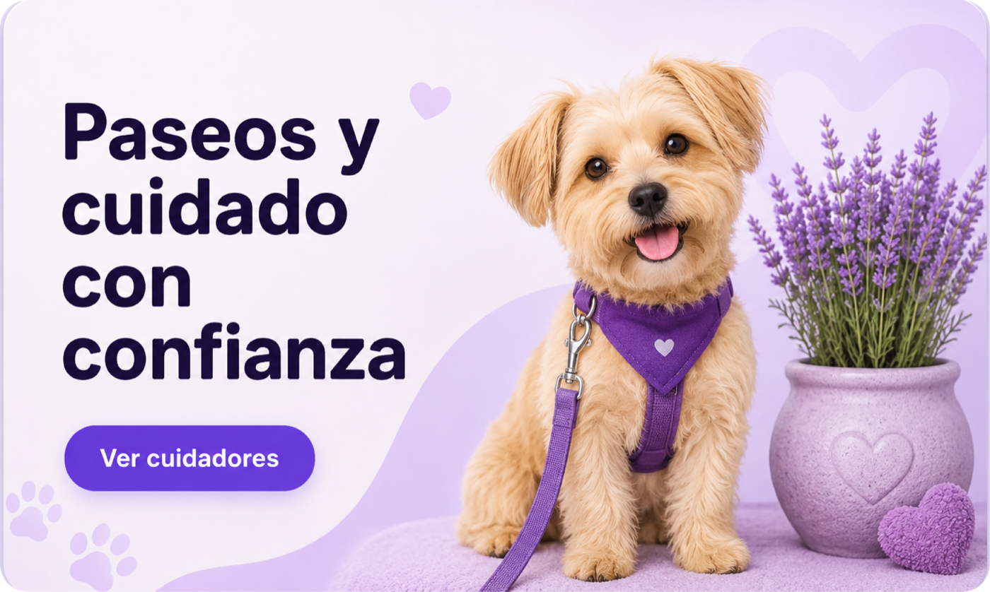 Cuidadores: paseos y cuidado con confianza